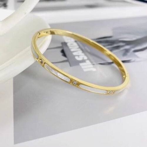Elegant Zircon and Mother of Pearl Inlay Titanium Bangle