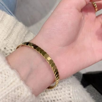 Sleek Disc Bangle - 18K Gold Plated Titanium Steel