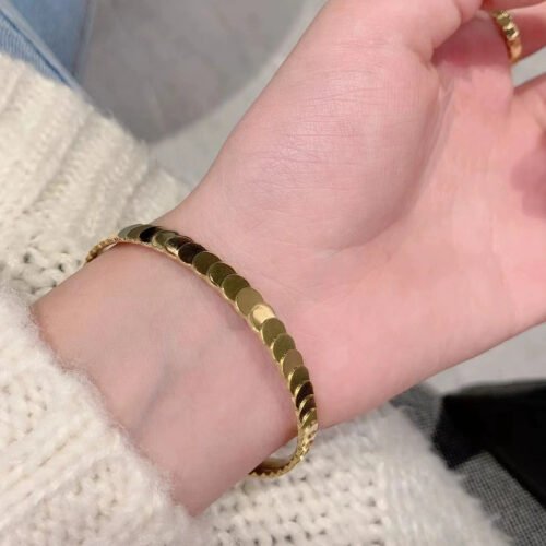 Sleek Disc Bangle – 18K Gold Plated Titanium Steel