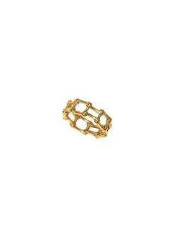 Geometric Lattice Band Ring