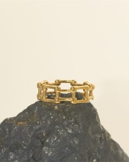 Geometric Lattice Band Ring