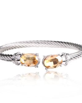 Crystal-Inlaid Titanium Bangle