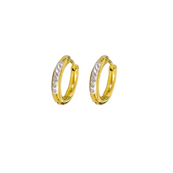 Luna Zircon Hoop Earrings