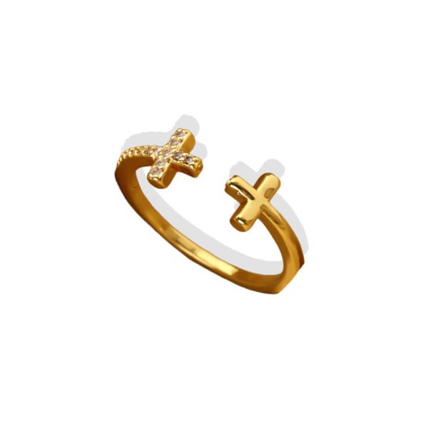 Dual Cross Bypass Ring